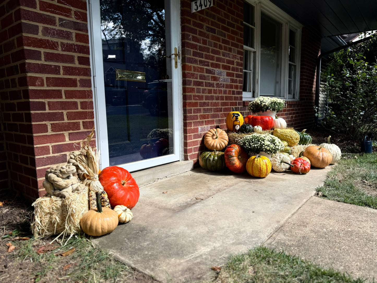 The Cozy Porch