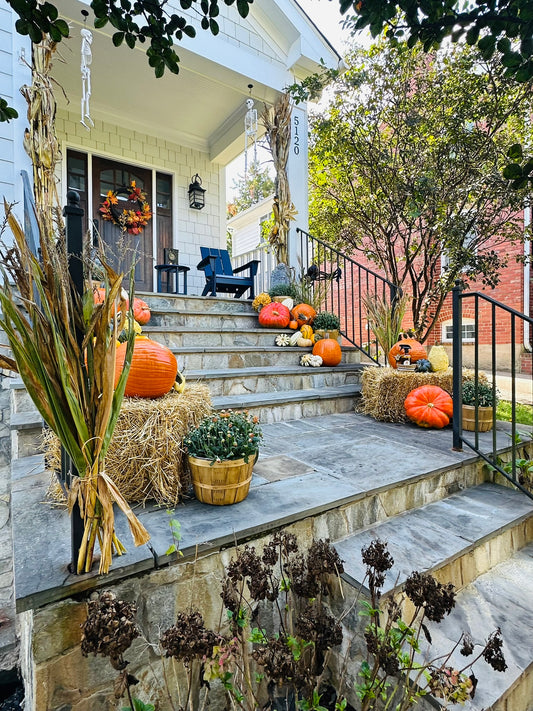 The Classic Porch - MOST POPULAR