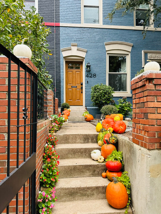 The Cozy Porch